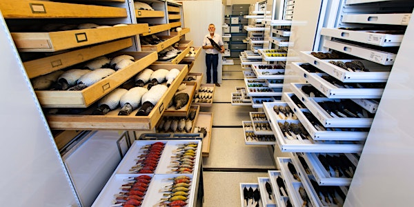 Media Preview for Unshelved: Cool Stuff from Storage