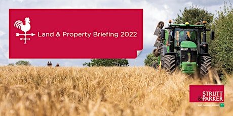Chelmsford Land & Property Briefing 2022
