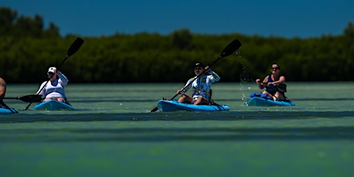 Kayak Day Tour at Shell Key with Capt Yak