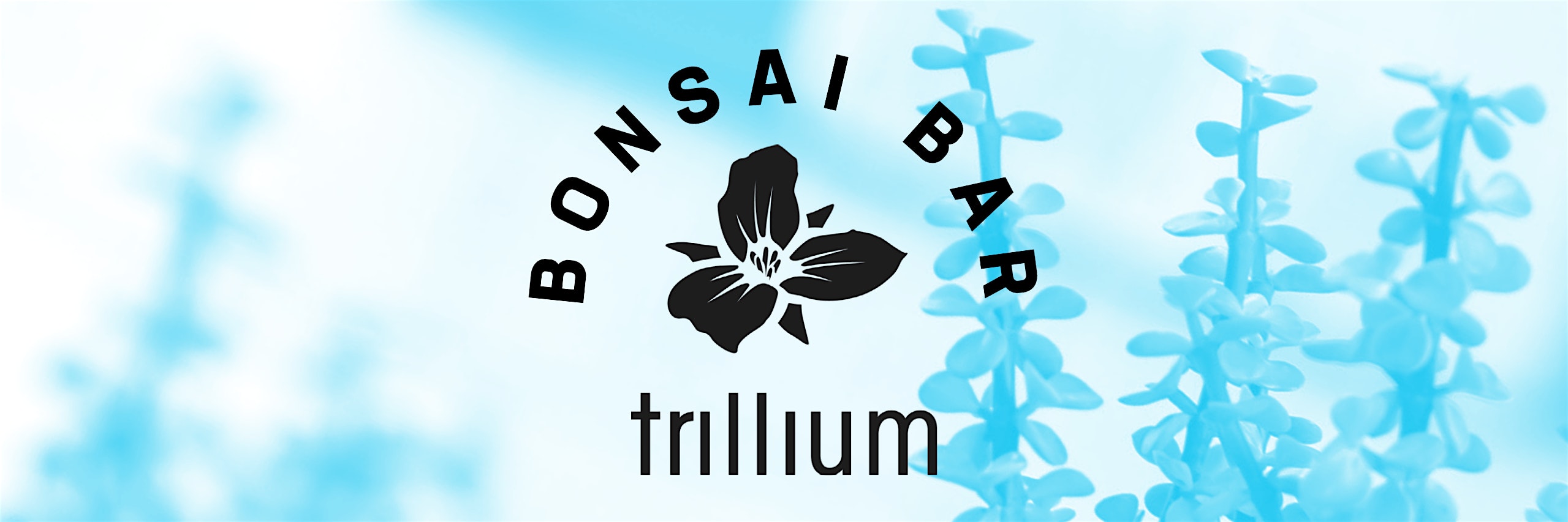 Bonsai Bar @ Trillium Brewing Company – Canton
