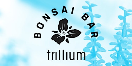 Bonsai Bar @ Trillium Brewing Company - Canton