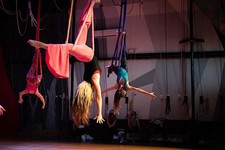 The Love and Friendship Show - Canopy Aerialists at The Marsh Studio image