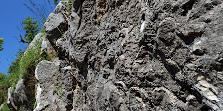 Escursione alla barriera cretacica fossile di Rocca di Cave