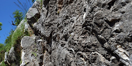 Escursione alla barriera cretacica fossile di Rocca di Cave