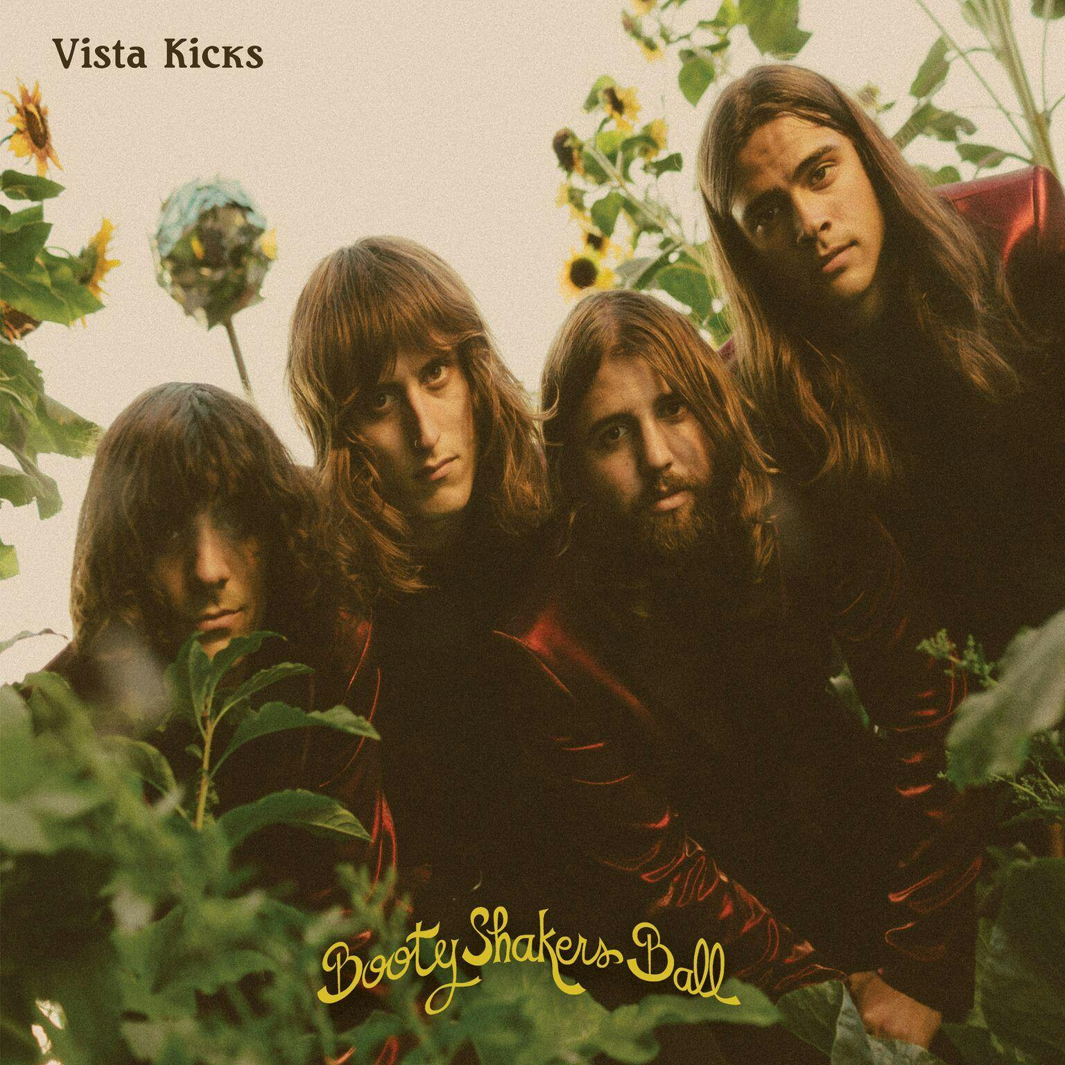 Vista Kicks and guests