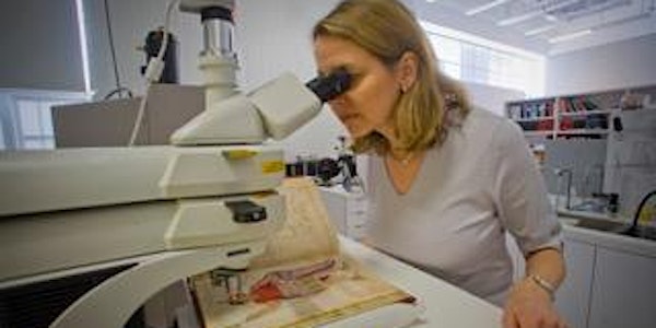 Art as Evidence: The Scientific Examination of Works of Art (Karen Trentelm...