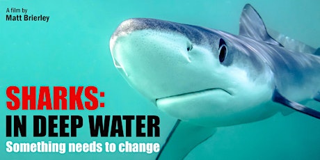 Sharks: In Deep Water. Global Premiere.