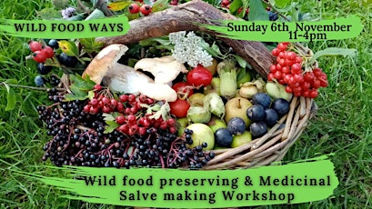Wild food foraging, preserving and Medicinal salve making Workshop