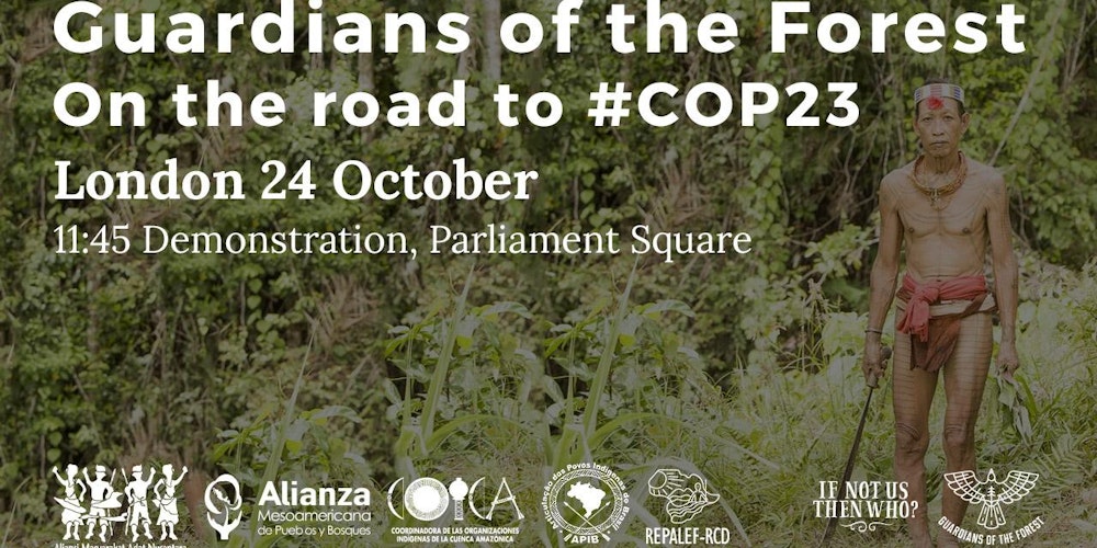 Image result for guardians of the forest royal society london cop23