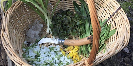 Foraging with the Wild Food Huntress primary image