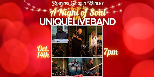 A Night of Soul with Unique Live Band