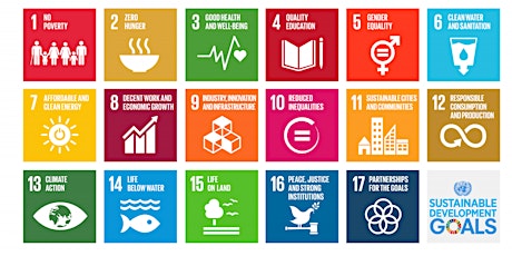 Unpacking the United Nations Sustainable Development Goals primary image