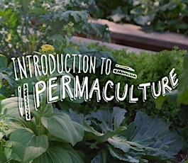 Intro to Permaculture primary image