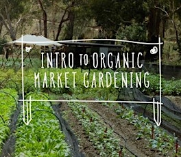 Intro to Organic Market Gardening primary image