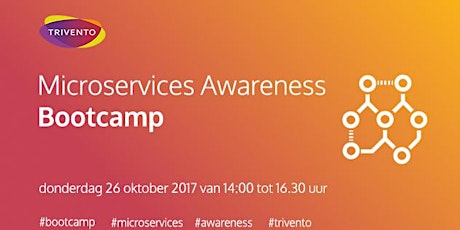 Primaire afbeelding van Microservices Awareness Bootcamp