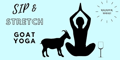 Sip & Stretch Goat Yoga