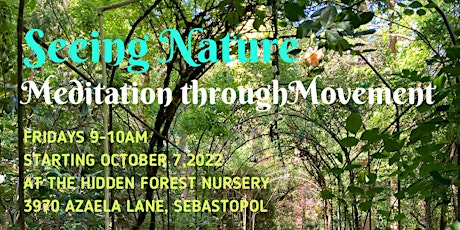 Seeing Nature: Chi Gong Meditation through Movement
