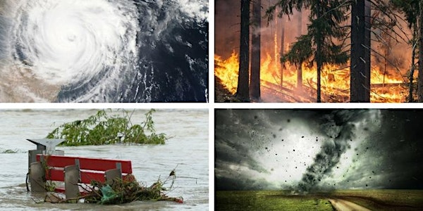 Floods, Tornadoes, and Disaster Resilience