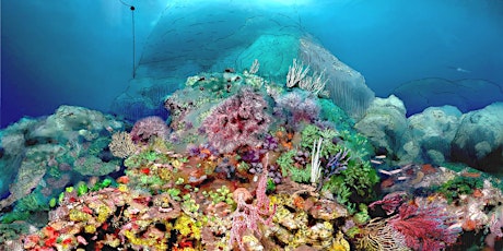Penser à partir des paysages sous-marins