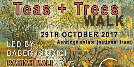 Teas and Trees, Autumnal Walk primary image
