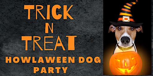 Trick N Treat Howlaween dog party Puppies 6-12 months