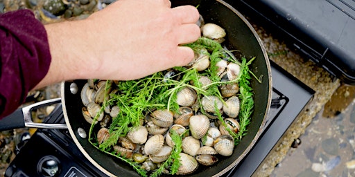 Coastal Foraging and Cooking - Foraging Workshop and Walk in Conwy primary image