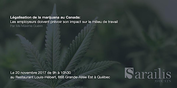 Légalisation de la Marijuana - Les employeurs doivent anticiper l'impact