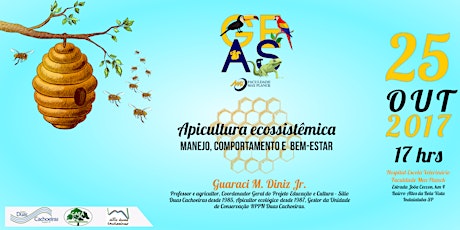Imagem principal do evento Apicultura ecossistêmica - manejo, comportamento e  bem-estar com Guaraci M. Diniz Jr.