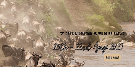 7 Days Incredible Kenya Wildebeest Migration Wildlife Safari