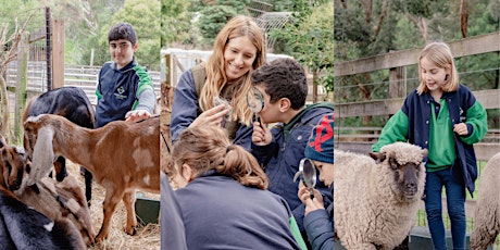 Collingwood Children's Farm School Excursion: for 2 or 3 Classes