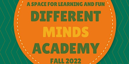 Different Minds Academy - Online Camp