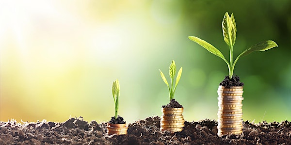 Inside the Mind of an Angel Investor: Investment Optionality Series