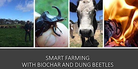 SMART FARMING WITH BIOCHAR AND DUNG BEETLES RESULTS
