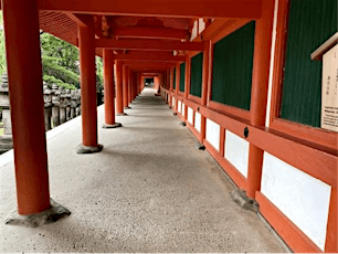 The Beautiful Walk in the Sacred Shrine in Nara
