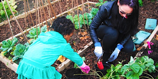 Grow It, Cook It, Share It! at South Oxhey Family Centre primary image