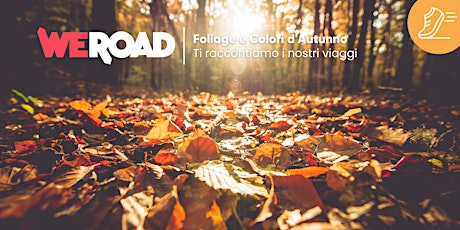 Foliage e Colori d'Autunno |  WeRoad ti racconta i suoi viaggi