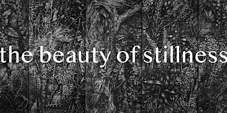The Beauty of Stillness - 2nd Thursday Reception