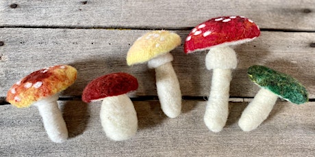 LowellArts Adult/Teen Class: Needle Felted Mushrooms