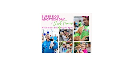 Animal adoption event