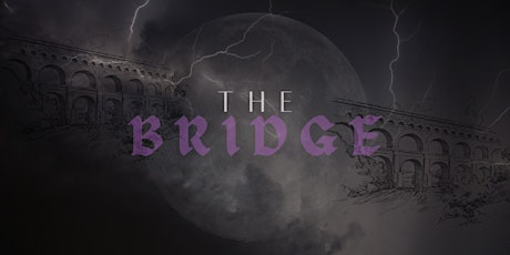 the bridge | a new breed of networking primary image