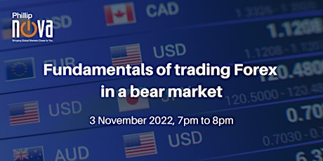 Fundamentals of Trading Forex in a Bear Market