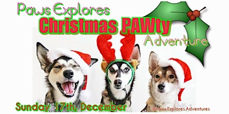 Paws Explores CHRISTMAS PAWty Adventure primary image