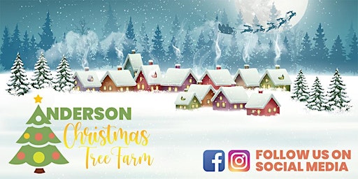 Anderson Christmas Tree Farm