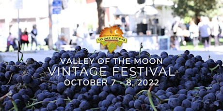 Valley of the Moon Vintage Festival - Grape Stomp, OCT. 8