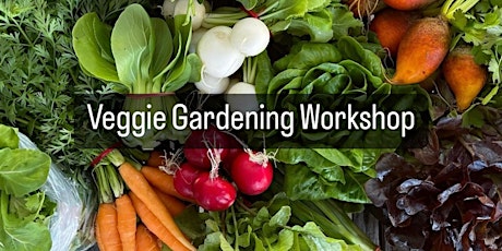 FL Veggie Growing Workshop
