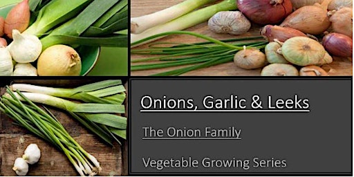 Onions, Garlic & Leeks 101- Growing Vegetable Seri
