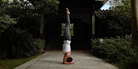 Headstand Workshop by Tiffany Lau primary image