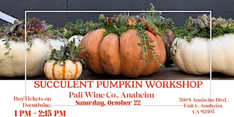 Succulent Pumpkin Workshop