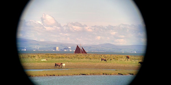 Full of Noises - Walk at South Walney