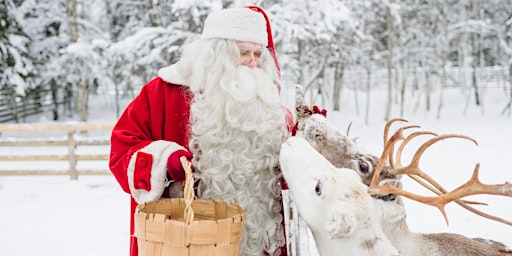 Meet Father Christmas in Surrey’s Secret Grotto